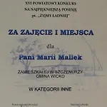 Zielona Osada *