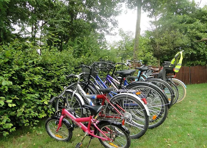 Zielona Osada * Szczenurze